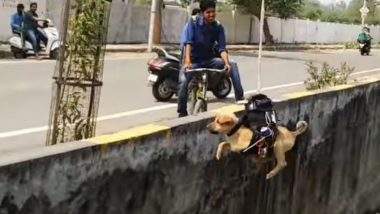 Man Developed Customised Drone to Rescue Puppy From a Drain in Lucknow, Watch Video