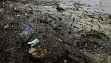 Municipal Officer Makes Litterbug Retrieve Garbage He Threw Into Ahmedabad's Kharicut Canal