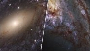 NASA's Hubble Telescope Captures Pictures of Stars Forming in Nearby Galaxies