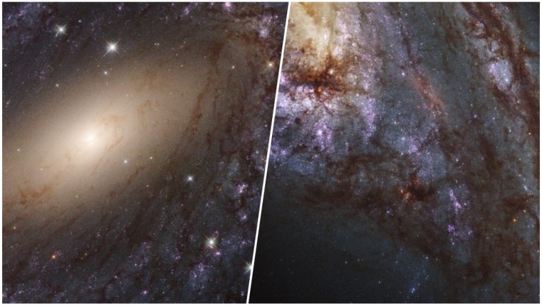 NASA's Hubble Telescope Captures Pictures of Stars Forming in Nearby