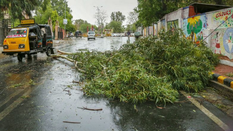 Mumbai Rains: Pre-Monsoon Rainfall, Strong Winds Lash City; BMC Reports 39 Cases of Trees Falling