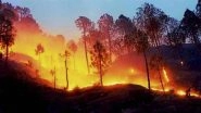 Uttarakhand Forest Fire Rages in State, Destroys Hundreds of Hectares of Land in Almora, Nainital, Tehri, Dehradun and Haldwani