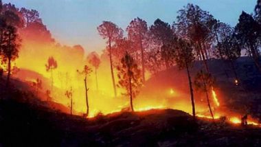 Odisha Forest Fire: State Govt Sends Team to Control Fire at Similipal Tiger Reserve in Mayurbhanj District