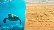 World Turtle Day 2018: Twitterati Highlights the Preservation of the Amphibian Species