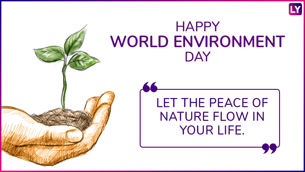 World Environment Day 2018: These Quotes, Wishes & GIF Images Will