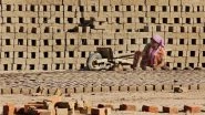 'Eco-friendly' Bricks in Aligarh Made With Waste Makes Waves