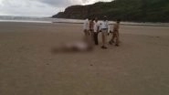 Maharashtra: 6 Dead After Drowning at a Ratnagiri Beach