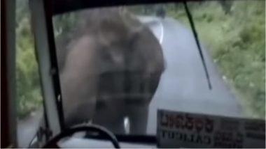 Elephant Attacks a Bus in Calicut, Passengers Panic: Watch Video