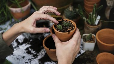 World Environment Day 2019 Greetings: President Ram Nath Kovind, PM Narendra Modi And Other Leaders Vow to Protect the Environment