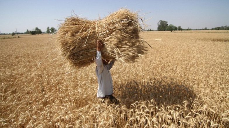 'Sex Favours From Farmer's Wife': Bank Manager in Maharashtra Sets Obscene Condition to Sanction Crop Loan, Gets Booked