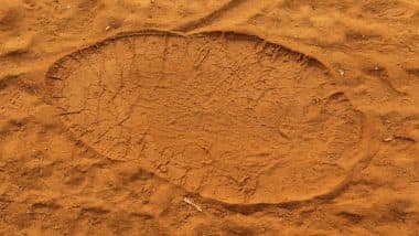 Footprints of 600 Million Years Old Animals Discovered in China