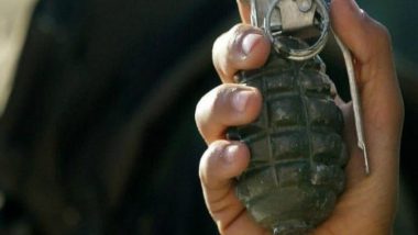 Delhi Terror Attack Bid Foiled; Terrorist On Way to National Capital Arrested in J&K With 8 Live Grenades