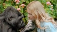 Koko, the Gorilla Who Used Sign Language & Loved Cats is Dead at 46