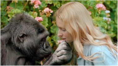Koko, the Gorilla Who Used Sign Language & Loved Cats is Dead at 46
