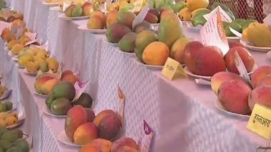 'Yogi Aam' Star Attraction at Uttar Pradesh's Mango Festival