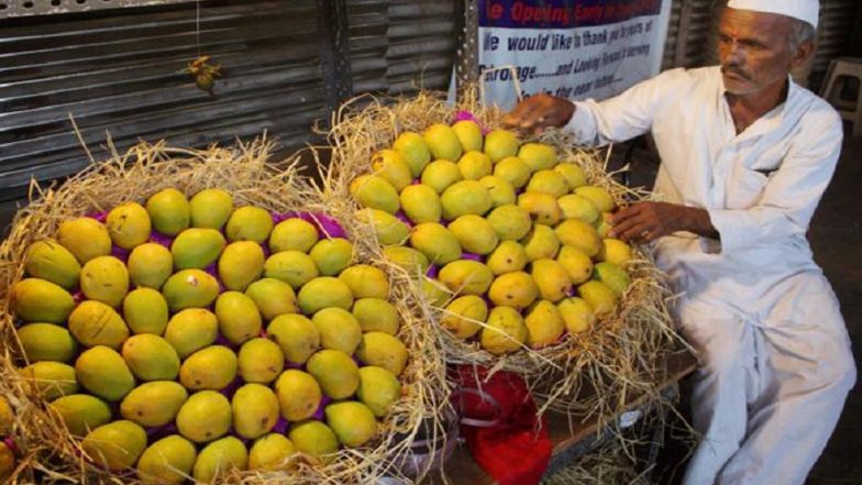 Totapuri & Benishan Mango Prices Fall; Farmers Dump Tonnes of Mangoes on Roadside in Kolar