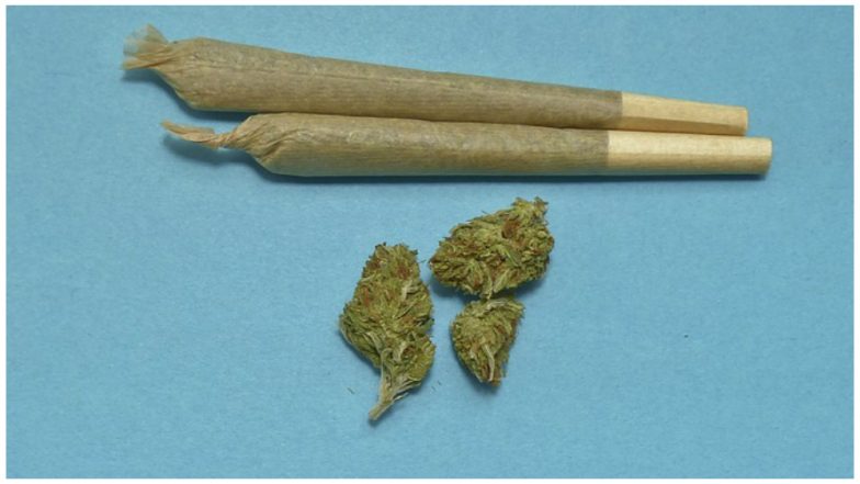 Canada Becomes Second Nation to Legalize Marijuana