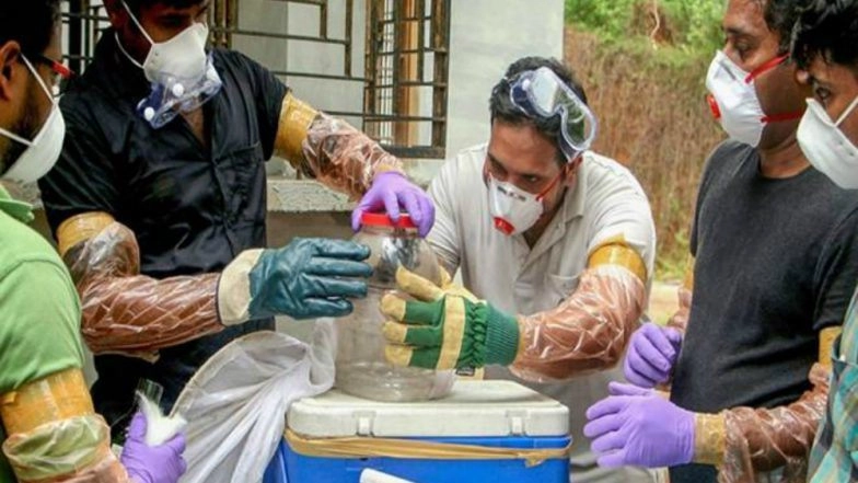 Fake Nipah Virus Homeopathic Medicines Distributed in Kozhikode, Kerala Govt Gears Up to Prevent Spread