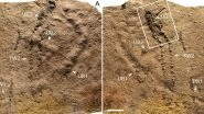 Earliest Known Animal Footprints Dating 541 Million Years Ago Found in China
