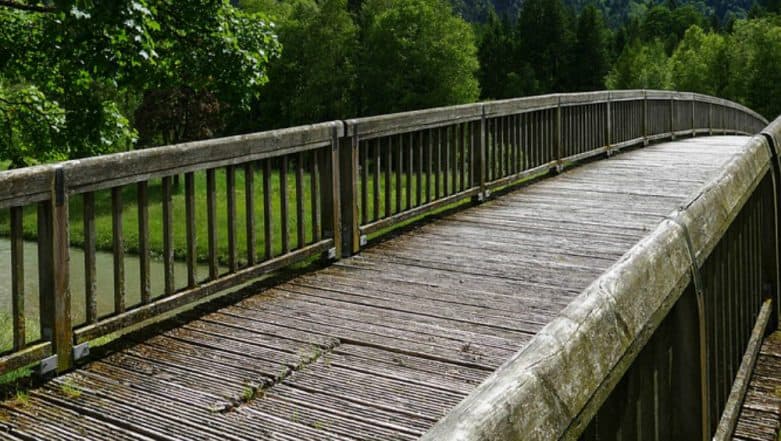 Goa Government to Take up Repair Work of  Portuguese-Era Bridges