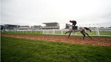 2018 Indian Derby Winner Racehorse Rochester Dies