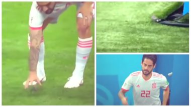 Watch Video of Spanish Footballer Isco Save A Bird's Life During Match Against Iran At 2018 FIFA World Cup!
