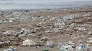 World Oceans Day 2018 Date: This Year&rsquo;s Theme Focuses on Combating Plastic Pollution