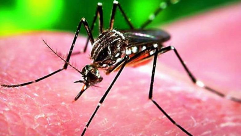 Uttar Pradesh: First Zika Virus Case Reported in Kanpur