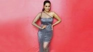 Along With Yeh Hai Mohabbatein and Naagin 3, Anita Hassanandani Will Also Be Seen in Comedy Circus