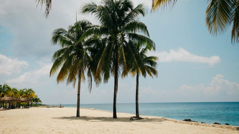Asia's First 'Blue Flag' Tag Goes to Chandrabhaga Beach, Odisha; 12 More Indian Beaches in The List, Know What is it and The Standards Required