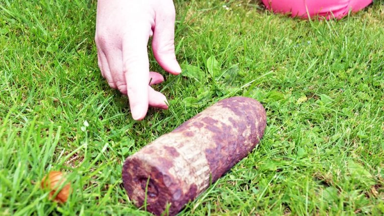 Three Bombs Recovered in Bihar Ahead of Lok Sabha Elections 2019