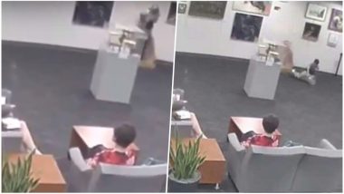 Boy Hugged Sculpture Worth 132,000 dollars; City Ask Parents to Recover Damages! Watch Viral Video