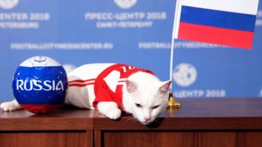 Russia vs Saudi Arabia, 2018 FIFA World Cup Winner Prediction: Achilles the Cat Says Hosts Russia Will Win, Watch Video