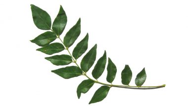 Curry Leaves for Hair and Skin: How Kadi Patta Can Cure Acne and Stop Hairfall (Watch Video)