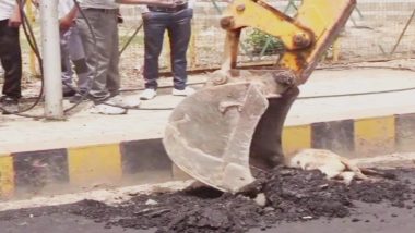 Dog Buried Inside Fatehabad Road in Agra During Construction, Animal Lovers Rise in Protest