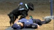 Police Dog Performing CPR on Officer During Training Exercise Goes Viral (Watch Video)