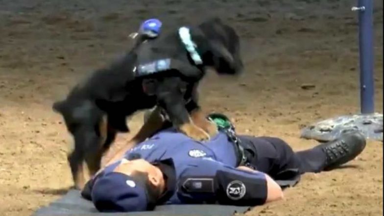 Police Dog Performing CPR on Officer During Training Exercise Goes Viral (Watch Video)