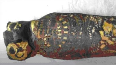 2100-Year Old Egyptian Mummy Thought to be a 'Hawk' is Actually a Stillborn Baby