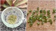 Hawaii’s Kilauea Volcano Shoots Tiny Green Gems into the Air! Residents Share Pictures of Crystals on Twitter