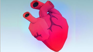 Heart Transplants from Severely Obese Donors Show Comparable Outcomes for Patients: New Research