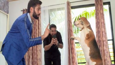 Ishqbaaz 6th June 2018 Written Update of Full Episode: Shivay suspects a DOG in The Neighbour's Murder Mystery Case