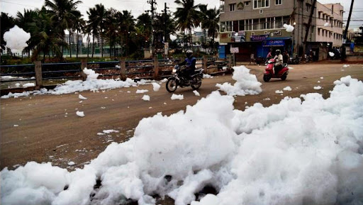 Bellandur Lake Largest Septic Tank of Bengaluru, Says NGT Appointed Panel