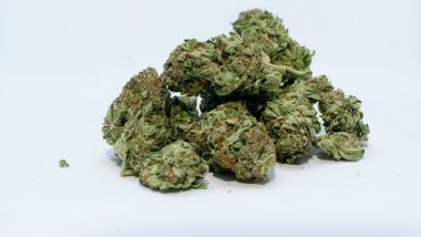 Lithuania Doctors Can Now Prescribe Marijuana-Based Medicine