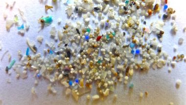 World Environment Day 2018: Are Microbeads in Your Facial Scrub Pollution the Oceans?