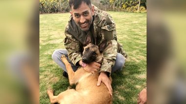 Watch Video: MS Dhoni Takes a Walk With His Dogs at His Home in Ranchi