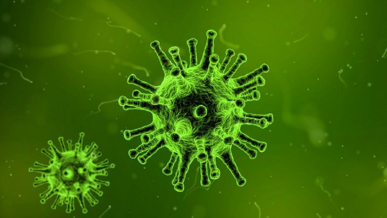 Bengal-Based Keralite Soldier Seenu Prasad Didn’t Die of Nipah Virus Says Test Results