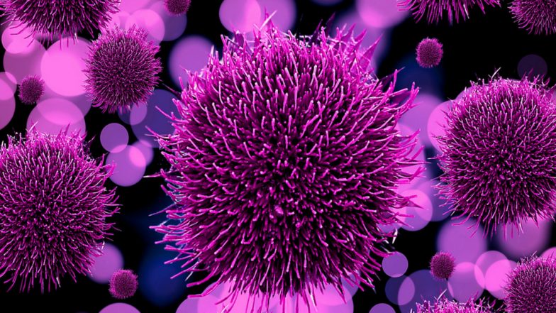 Nipah Virus Antibody to Fight The Infection To Be Flown In From Australia