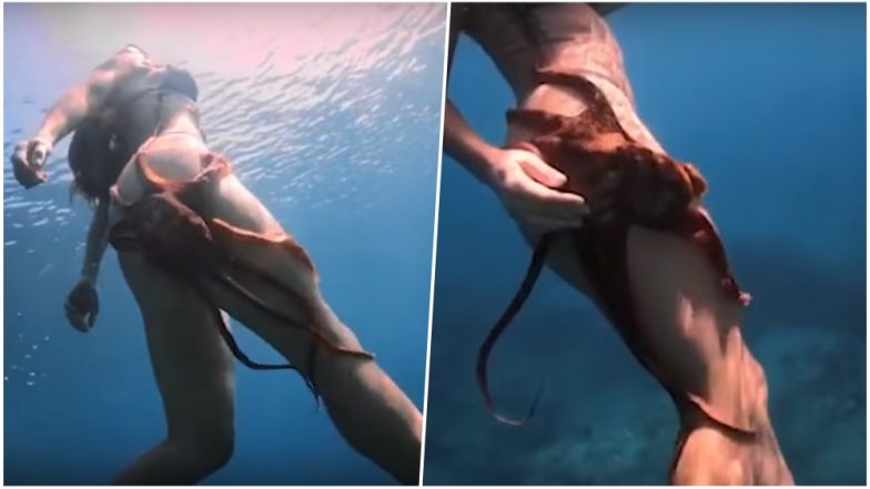 Octopus Grope Woman Diver’s Butt: Video of Flirty Eight-legged Sea Creature Goes Viral