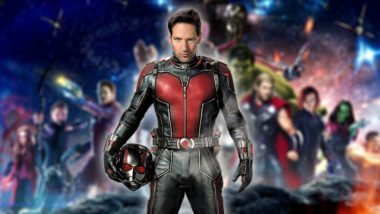 Paul Rudd Reveals That Ant-Man WAS in the Avengers: Infinity Movie