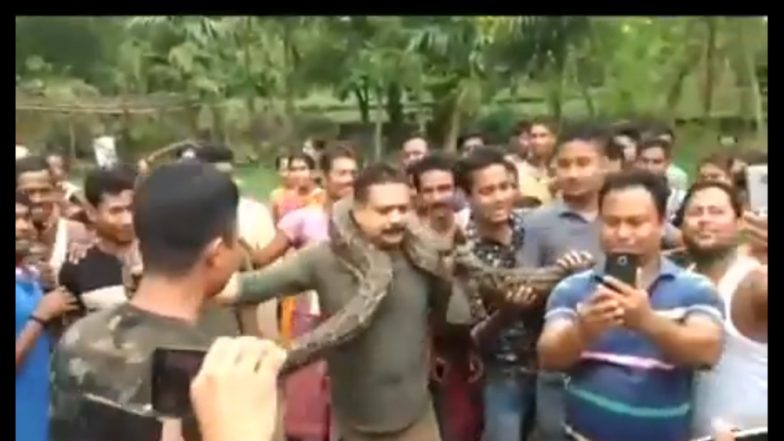 Watch Video: Python Strangles Forest Officer in Jalpaiguri, While Posing for Selfie, Miraculously Escapes Snake